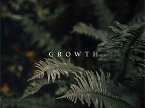 人间最美是清欢